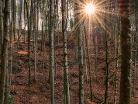 2013.10.31_134454_Auerberg und Königsschlösser Herbst_HDR.jpg